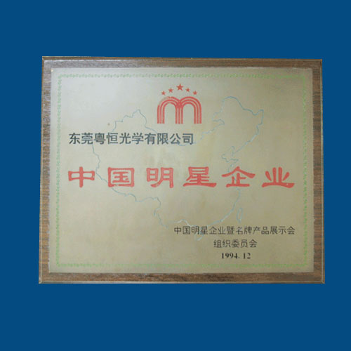 1994年12月，獲頒[中國明星企業]榮譽稱號